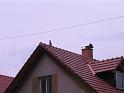 26 kočka na střeše